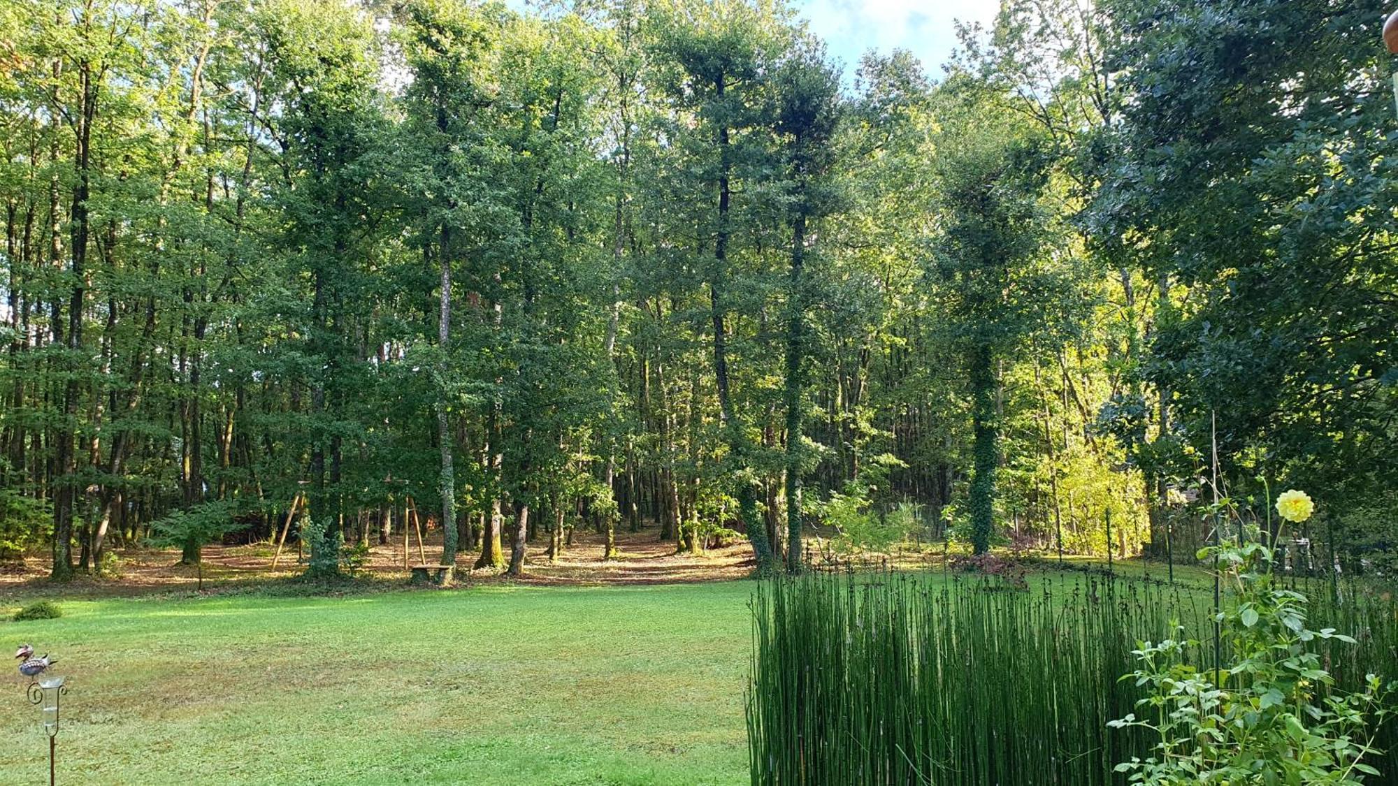 Logis Saponine Maison d'Hôtes climatisée Savonnières Esterno foto