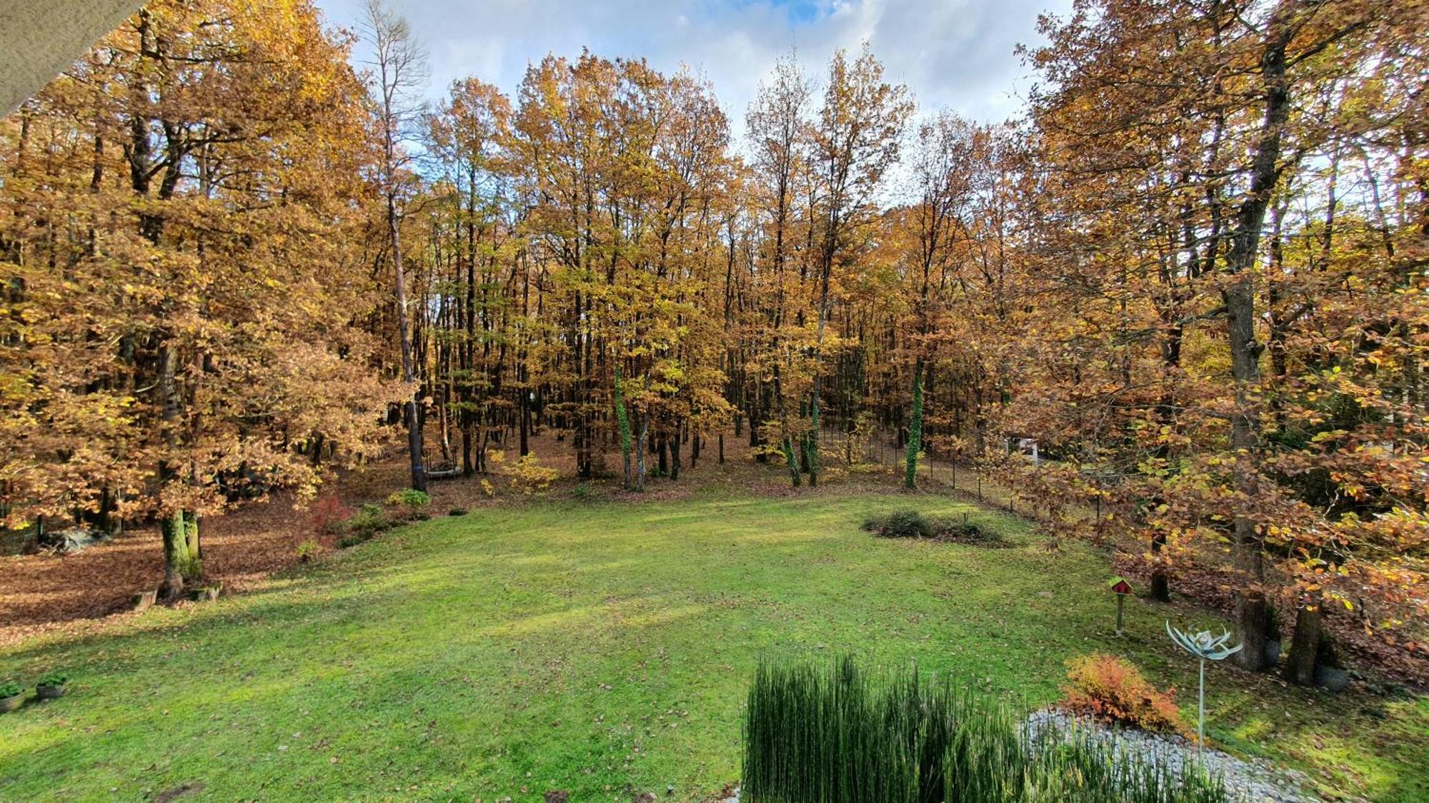 Logis Saponine Maison d'Hôtes climatisée Savonnières Esterno foto