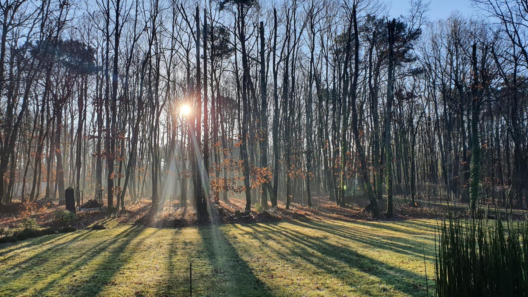Logis Saponine Maison d'Hôtes climatisée Savonnières Esterno foto